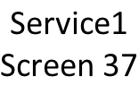 Service1 Screen 37